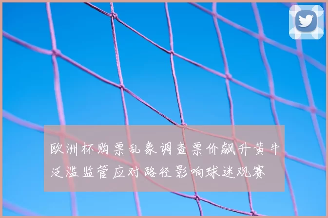 欧洲杯购票乱象调查票价飙升黄牛泛滥监管应对路径影响球迷观赛
