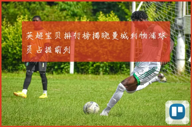 英超宝贝排行榜揭晓曼城利物浦球员占据前列